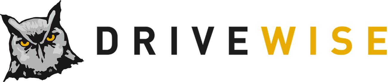 DriveWise Logo