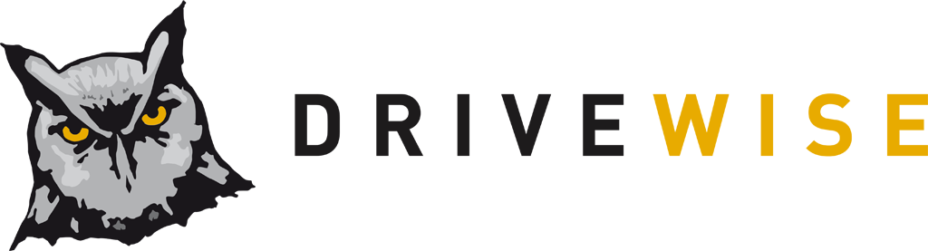 DriveWise Logo